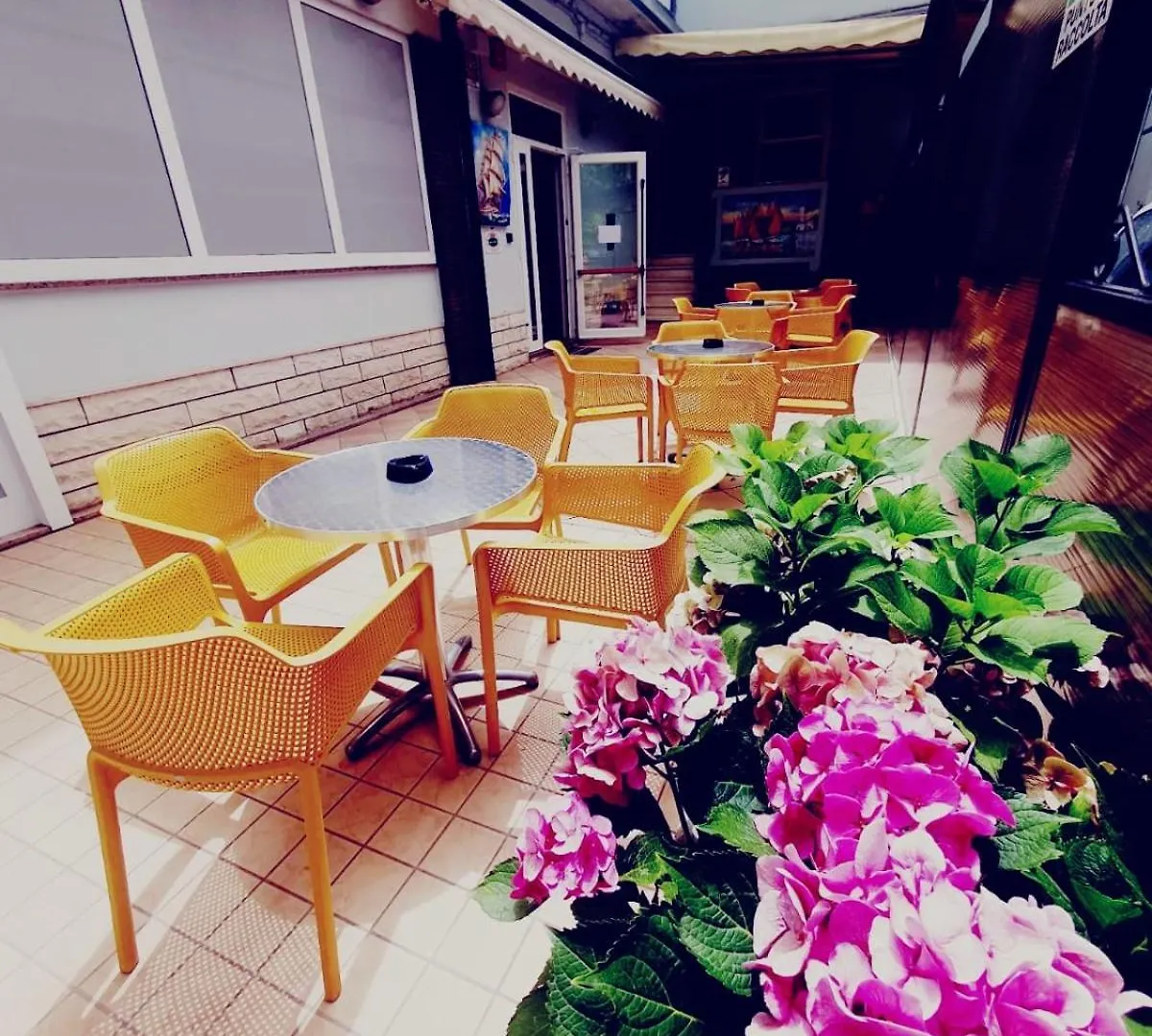 Hotel Ideale Young People Under 40 Rimini